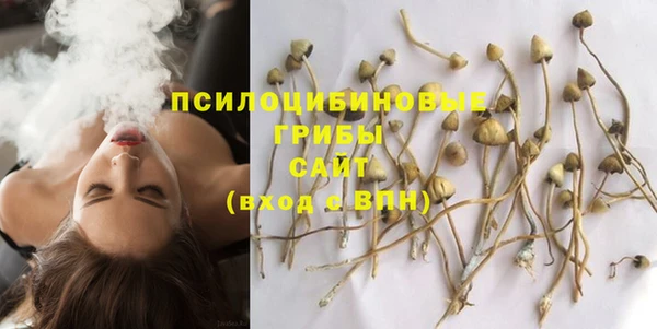 PSILOCYBIN Волосово