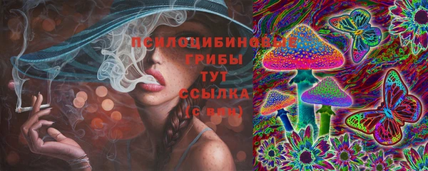 бошки Волоколамск