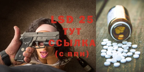 PSILOCYBIN Волосово