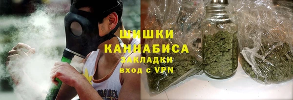 PSILOCYBIN Волосово