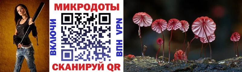 blacksprut ссылки  Видное  Галлюциногенные грибы мицелий 